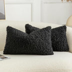 Pack of 2 Curly Teddy Wool Faux Fur Throw Pillow Covers Fuzzy Accent Soft Sherpa Pillowcases Sheepskin Fleece Decorative Cushion Case for Sofa Couch Living Room 12x20 Inch Black