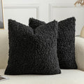 Pack of 2 Curly Teddy Wool Faux Fur Throw Pillow Covers Fuzzy Accent Soft Sherpa Pillowcases Sheepskin Fleece Decorative Cushion Case for Sofa Couch Living Room 20x20 Inch Black