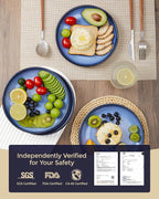 Ceramic Plates Set of 6, 8.0 Inch Reactive Glaze Dessert Plates, Modern Dinnerware Dishes Set for Kitchen, Microwave & Dishwasher Safe, Scratch Resistant-Light Blue