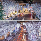 Upgrade Solar String Lights for Outside 2 Pack Total 180FT 500LED String Lights Outdoor with 8 Modes, IP65 Waterproof Outdoor Solar Twinkle Lights, Garden Tree Party Christmas Decorations, Cool White
