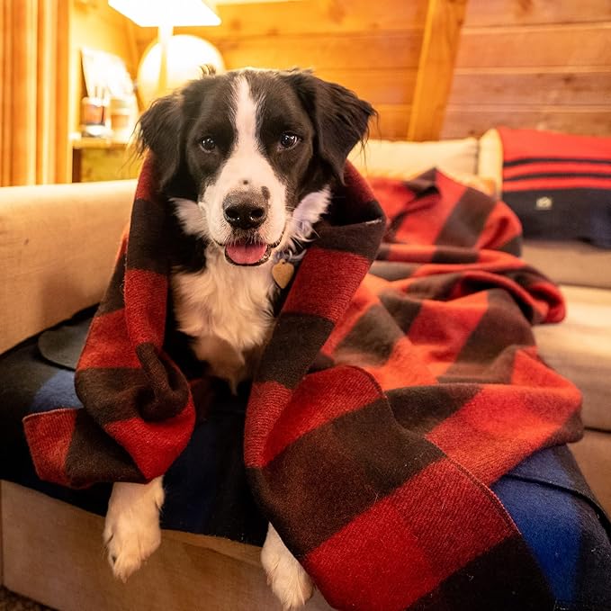 Arcturus Military Wool Blanket - Warm, Thick, Washable - Great for Outdoors, Camping, Stadium Blanket, Picnics, Travel - Car & Bushcraft Survival Kits