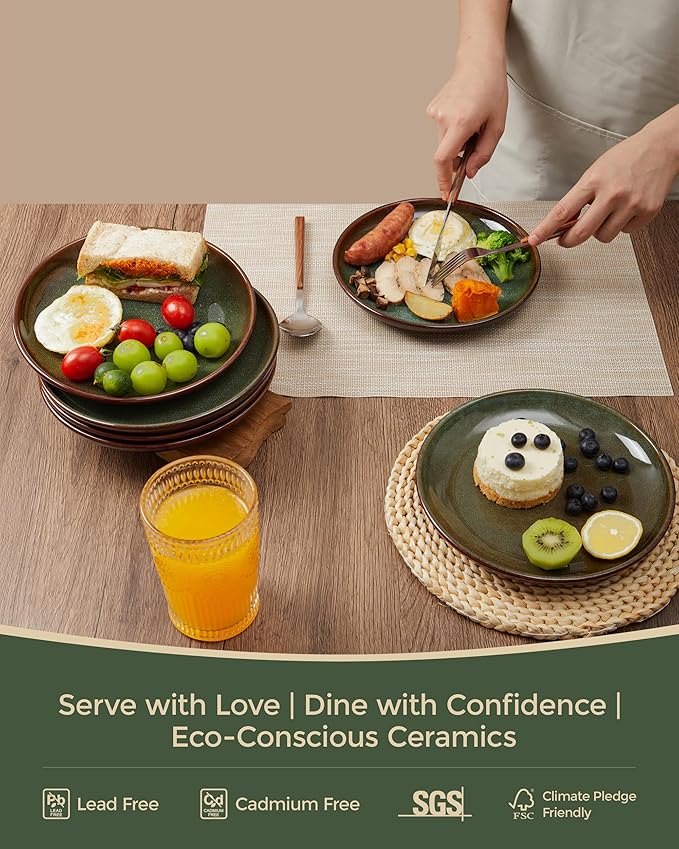 Ceramic Dinner Plates Set of 6, 10 Inch Handmade Reactive Glaze Stoneware Plates, Modern Rustic Dinnerware, Microwave & Dishwasher Safe, Scratch Resistant-Brown and Green