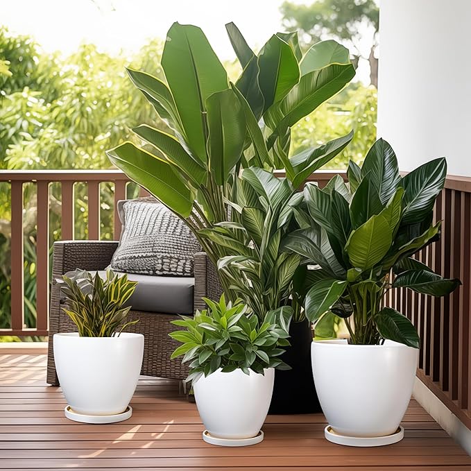 Ceramic Planter - 10 Inch Plant Pot with Drainage Hole and Tray, Flower Pot Planters for Indoor Plants, Modern Room Garden Patio Bathroom Living Room Porch Home Decor， White