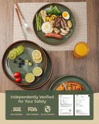 Ceramic Dinner Plates Set of 6, 10 Inch Handmade Reactive Glaze Stoneware Plates, Modern Rustic Dinnerware, Microwave & Dishwasher Safe, Scratch Resistant-Brown and Green
