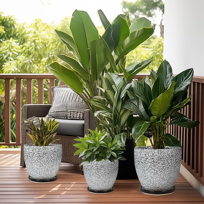 Ceramic Planter - 6 Inch Plant Pot for Indoor Ourdoor Plants, Round Succulent Planter, Decorative Flower Pots with Drainage Hole and Saucer, Home Desk Decor, Housewarming Gifts, White-Black