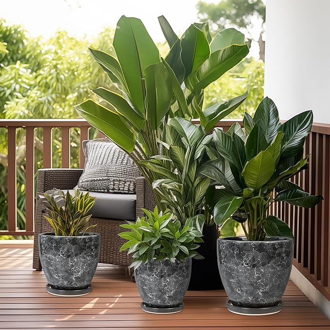 6 Inch Plant Pot - Ceramic Planter for Indoor with Drainage Hole and Saucer, Round Succulent Pot, Modern Flower Planters, Home Room Garden Office Decor, Gardening Gifts for Women, Grey