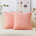 Home Brilliant Coral Pillows 20x20 Throw Pillow Cover for Sofa Bed 2 Pack Square Plush Velvet Accent Pillow Cases for Girl Bedroom, 50cm, 20 x 20 Inch, Coral