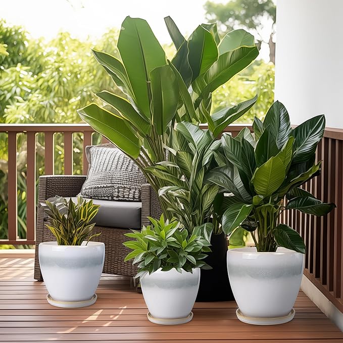 6 Inch Plant Pot - Ceramic Planters for Indoor Ourdoor Plants, Modern Succulent Pot, Round Planter with Drainage Hole and Saucer, Room Office Garden Home Decor, Plant Lover Gifts, White-Grey