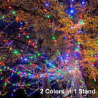 echosari 2 Pack Color Changing String Lights, 33 Ft 100 LED Christmas Fairy Lights Battery Operated Green Wire String Lights with Remote Timer for Bedroom Garden Party Wedding Deco (Multicolor)