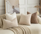 Pack of 2 Curly Teddy Wool Faux Fur Throw Pillow Covers Fuzzy Accent Soft Sherpa Pillowcases Sheepskin Fleece Decorative Cushion Case for Sofa Couch Living Room 22x22 Inch Neutral White