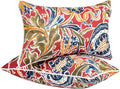 JMGBird Outdoor Lumbar Pillows Set of 2 with PP Cotton Fill for Patio Furniture Decorative Pillows 12x20 Inch