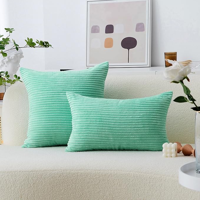 Home Brilliant Throw Pillows for Couch 18x18 Spring Pillow Covers Set of 2 Soft Textured Velvet Accent Pillowcases for Girl Dorm Sofa Decor, 45 cm x 45 cm, 18 x 18 Inch, Aqua Blue