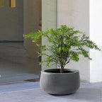 Kante 15.7" Dia Round Concrete Planter, Cement Plant Pots with Drainage Hole and Rubber Plug for Outdoor Indoor Garden Home, Modern Curvaceous Design, Dark Gray